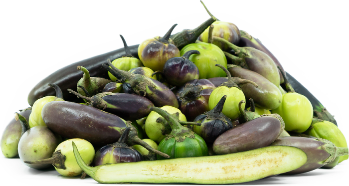 Eggplant brinjal south recipetineats