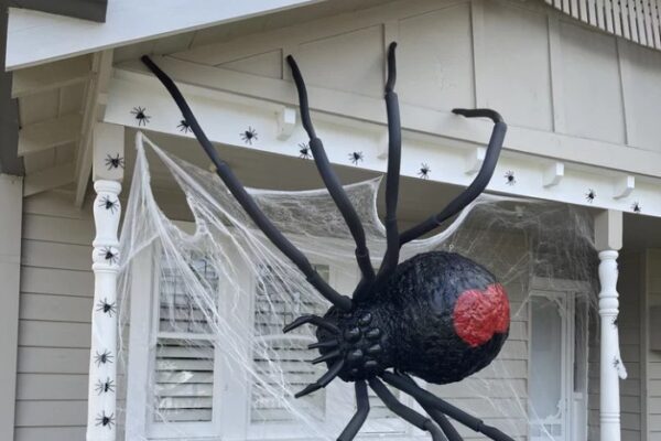 How to make a big spider decoration