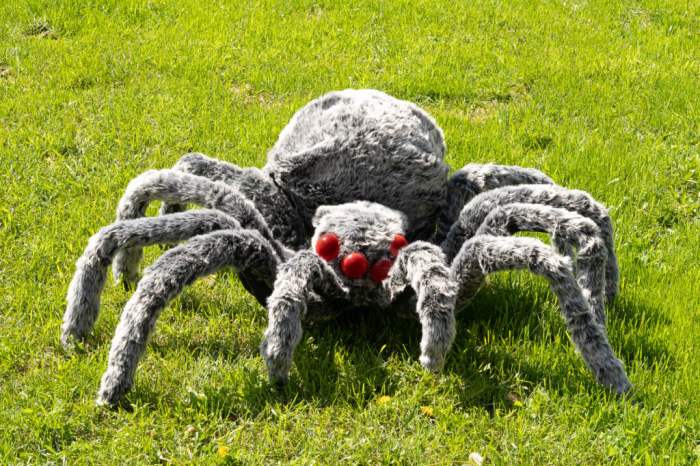 How to make a big spider decoration